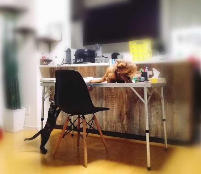 f:id:rezuteki-tsunatan-0909:20180720190514j:image f:id:rezuteki-tsunatan-0909:20180720190514j:image