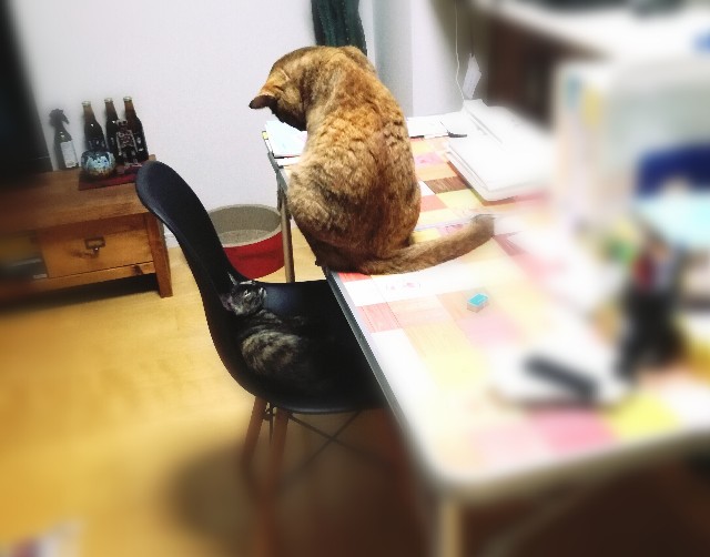 f:id:rezuteki-tsunatan-0909:20180720190609j:image f:id:rezuteki-tsunatan-0909:20180720190609j:image