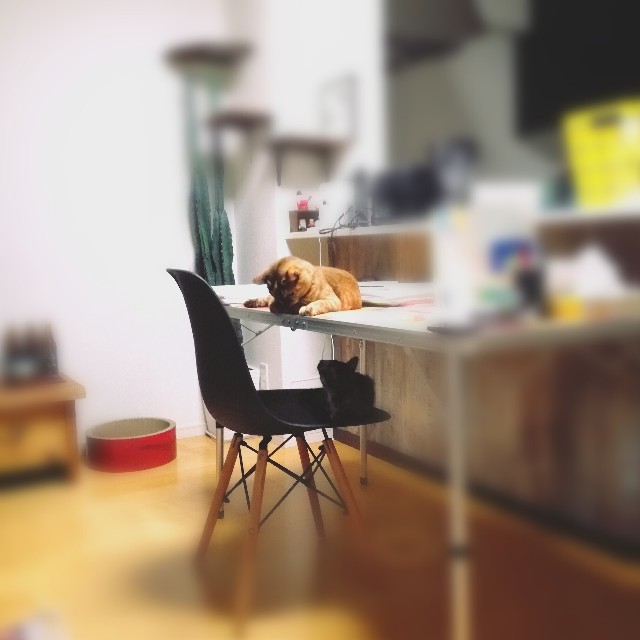f:id:rezuteki-tsunatan-0909:20180720190627j:image f:id:rezuteki-tsunatan-0909:20180720190627j:image