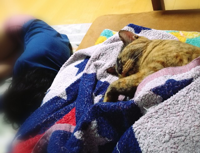 f:id:rezuteki-tsunatan-0909:20181005181550j:image f:id:rezuteki-tsunatan-0909:20181005181550j:image