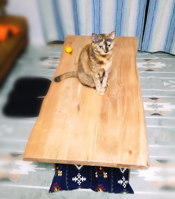 f:id:rezuteki-tsunatan-0909:20181114225226j:image