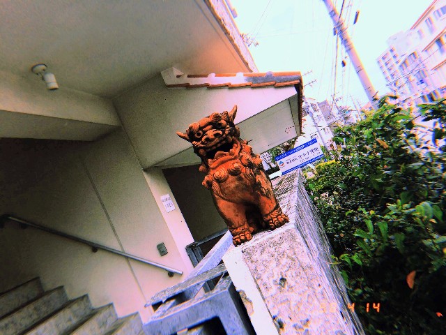 f:id:rezuteki-tsunatan-0909:20190416190619j:image f:id:rezuteki-tsunatan-0909:20190416190619j:image