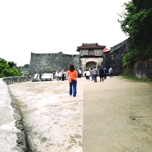 f:id:rezuteki-tsunatan-0909:20190416192947j:image f:id:rezuteki-tsunatan-0909:20190416192947j:image