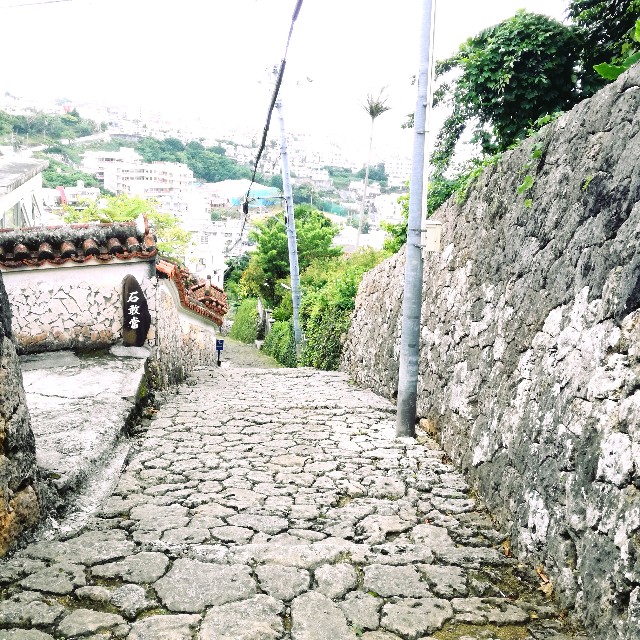 f:id:rezuteki-tsunatan-0909:20190416204347j:image f:id:rezuteki-tsunatan-0909:20190416204347j:image