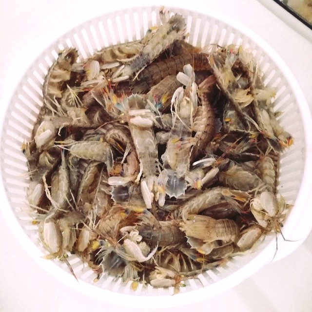 f:id:rezuteki-tsunatan-0909:20190429142605j:image