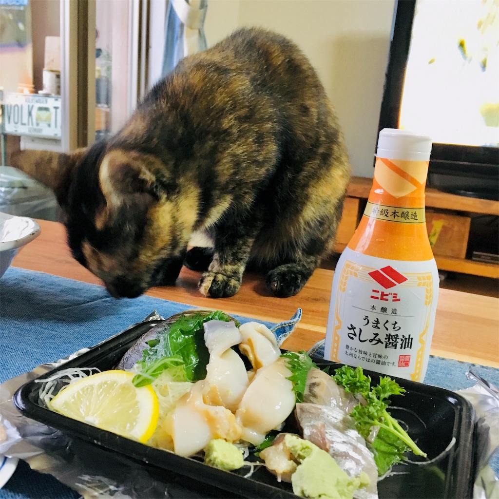 f:id:rezuteki-tsunatan-0909:20190714191059j:image