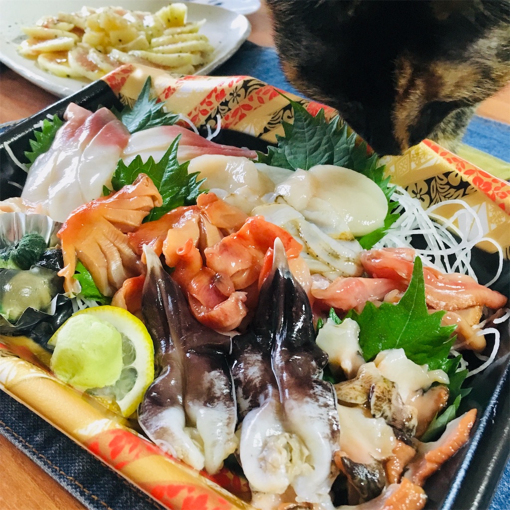f:id:rezuteki-tsunatan-0909:20190824173457j:image