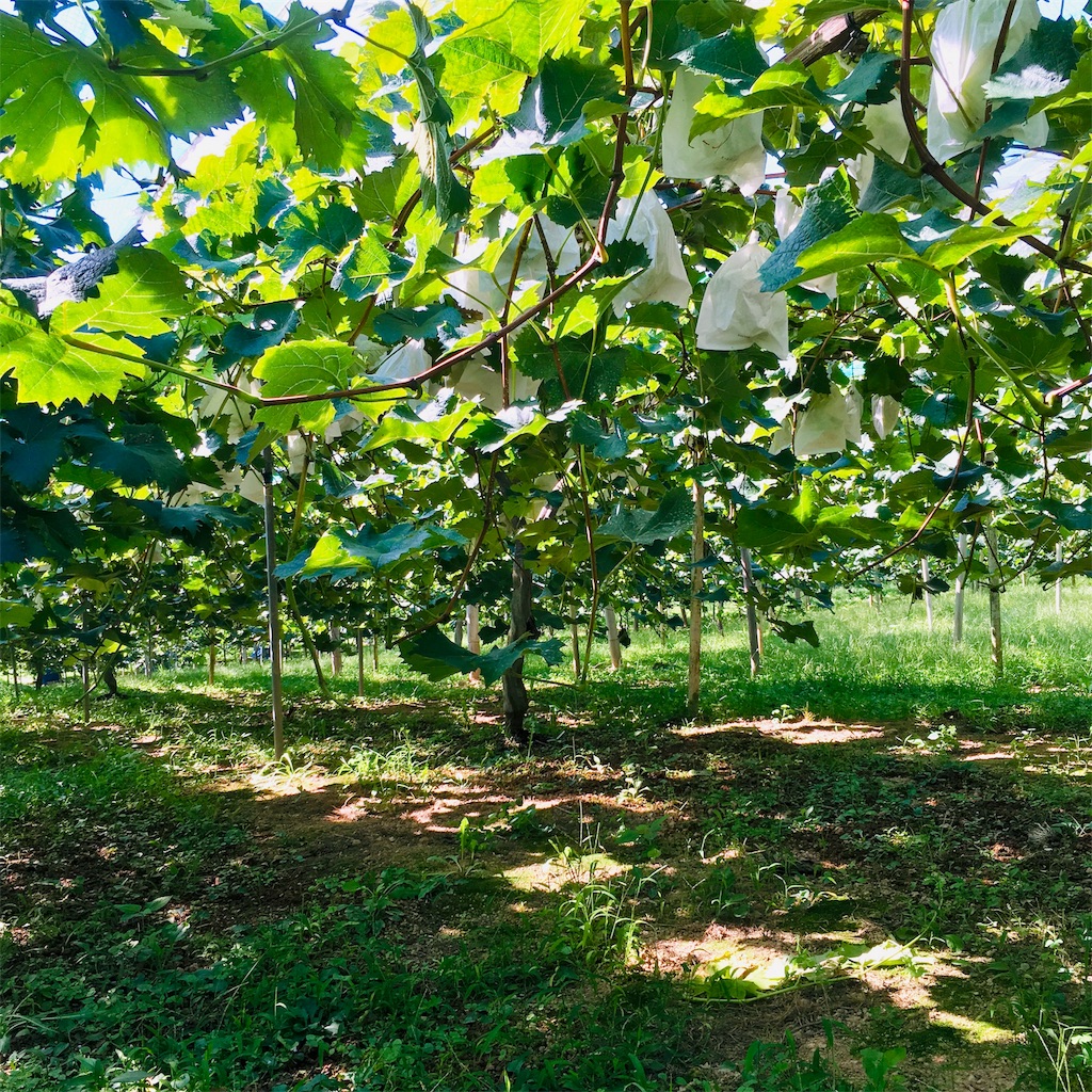f:id:rezuteki-tsunatan-0909:20190909192606j:image f:id:rezuteki-tsunatan-0909:20190909192606j:image