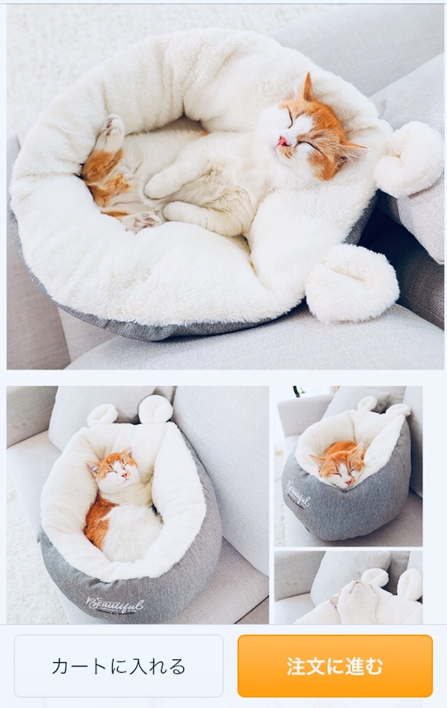 f:id:rezuteki-tsunatan-0909:20191212171924j:image f:id:rezuteki-tsunatan-0909:20191212171924j:image