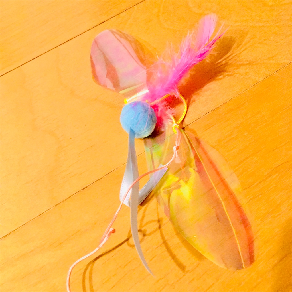 f:id:rezuteki-tsunatan-0909:20210123105014j:image