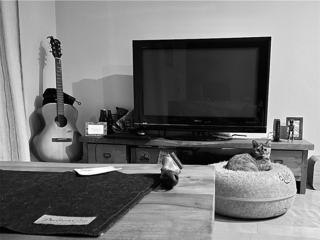 f:id:rezuteki-tsunatan-0909:20210821015841j:image