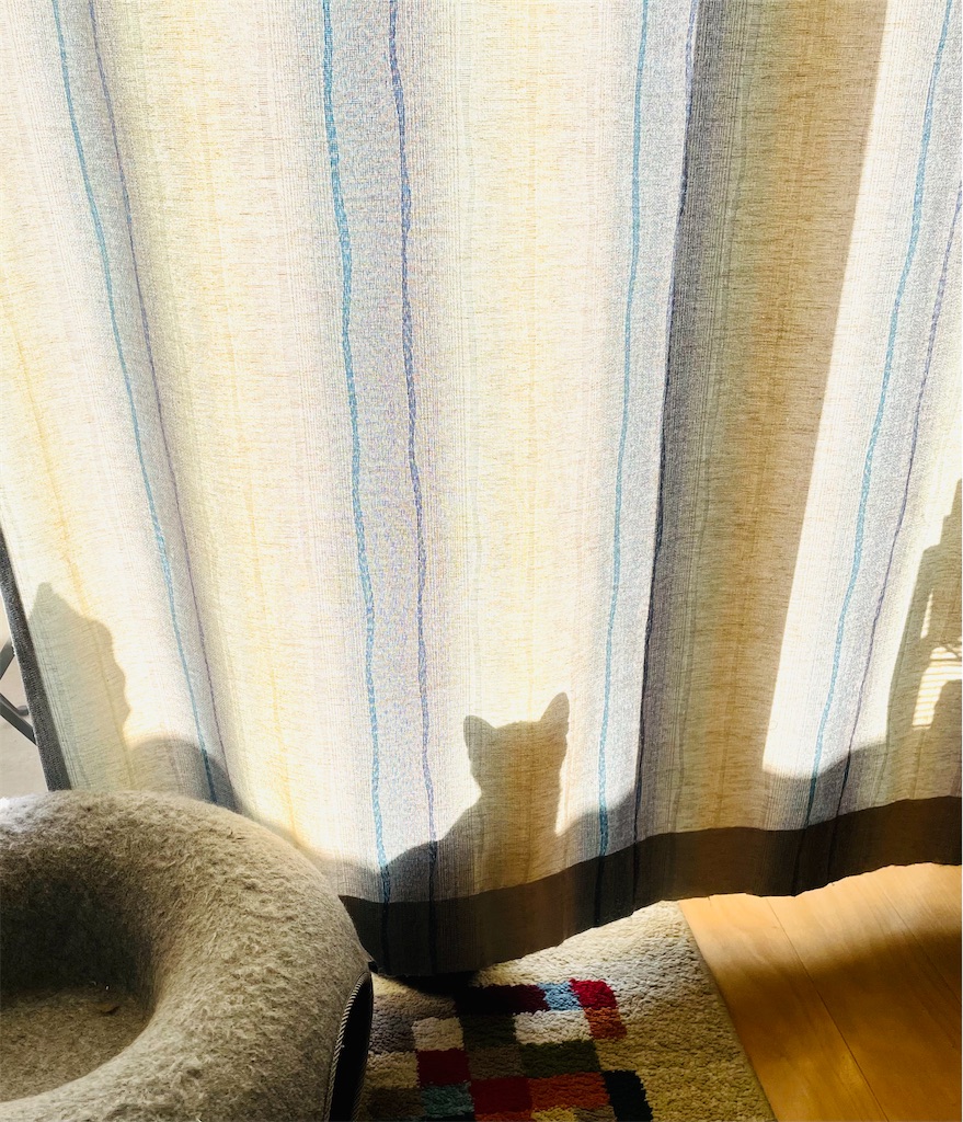 f:id:rezuteki-tsunatan-0909:20211203174305j:image f:id:rezuteki-tsunatan-0909:20211203174305j:image