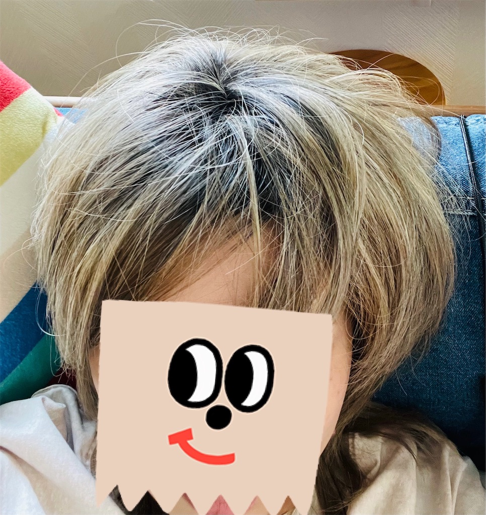 f:id:rezuteki-tsunatan-0909:20260820182438j:image