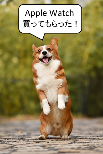 f:id:rf-blog-sagyo:20200401104245p:plain f:id:rf-blog-sagyo:20200401104245p:plain