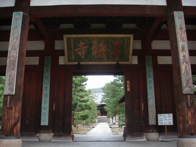 f:id:rfairy:20091117014842:image:w320 f:id:rfairy:20091117014842:image:w320
