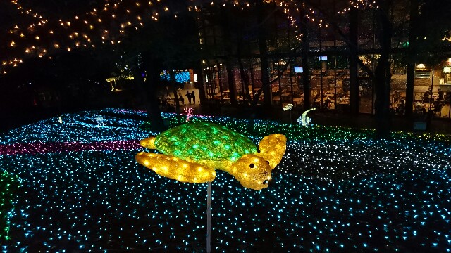 f:id:rfuji1226:20161030232002j:image f:id:rfuji1226:20161030232002j:image