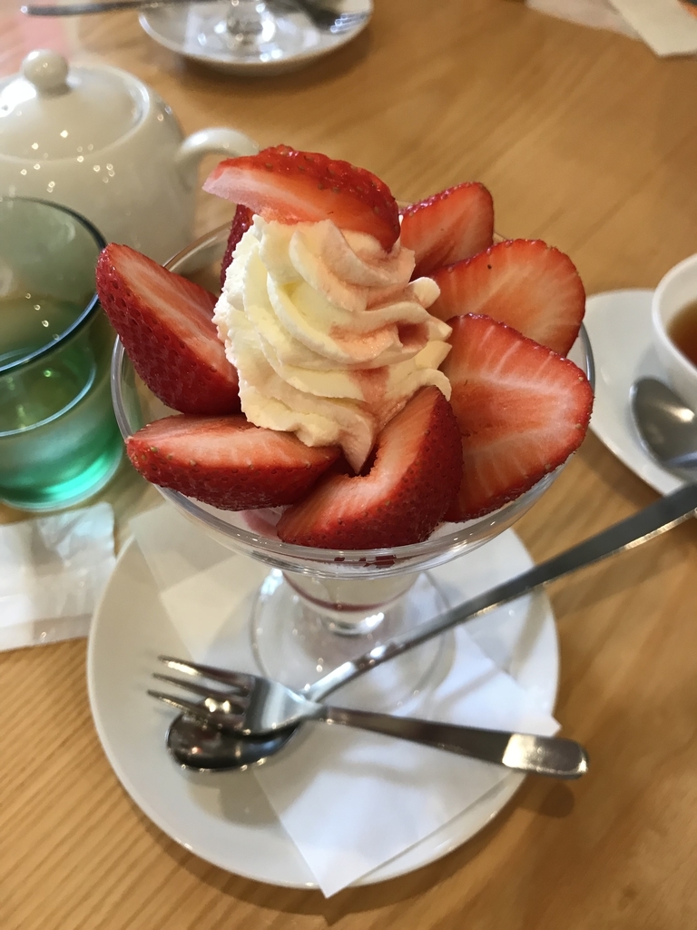 f:id:rfushimi:20190102141636j:plain