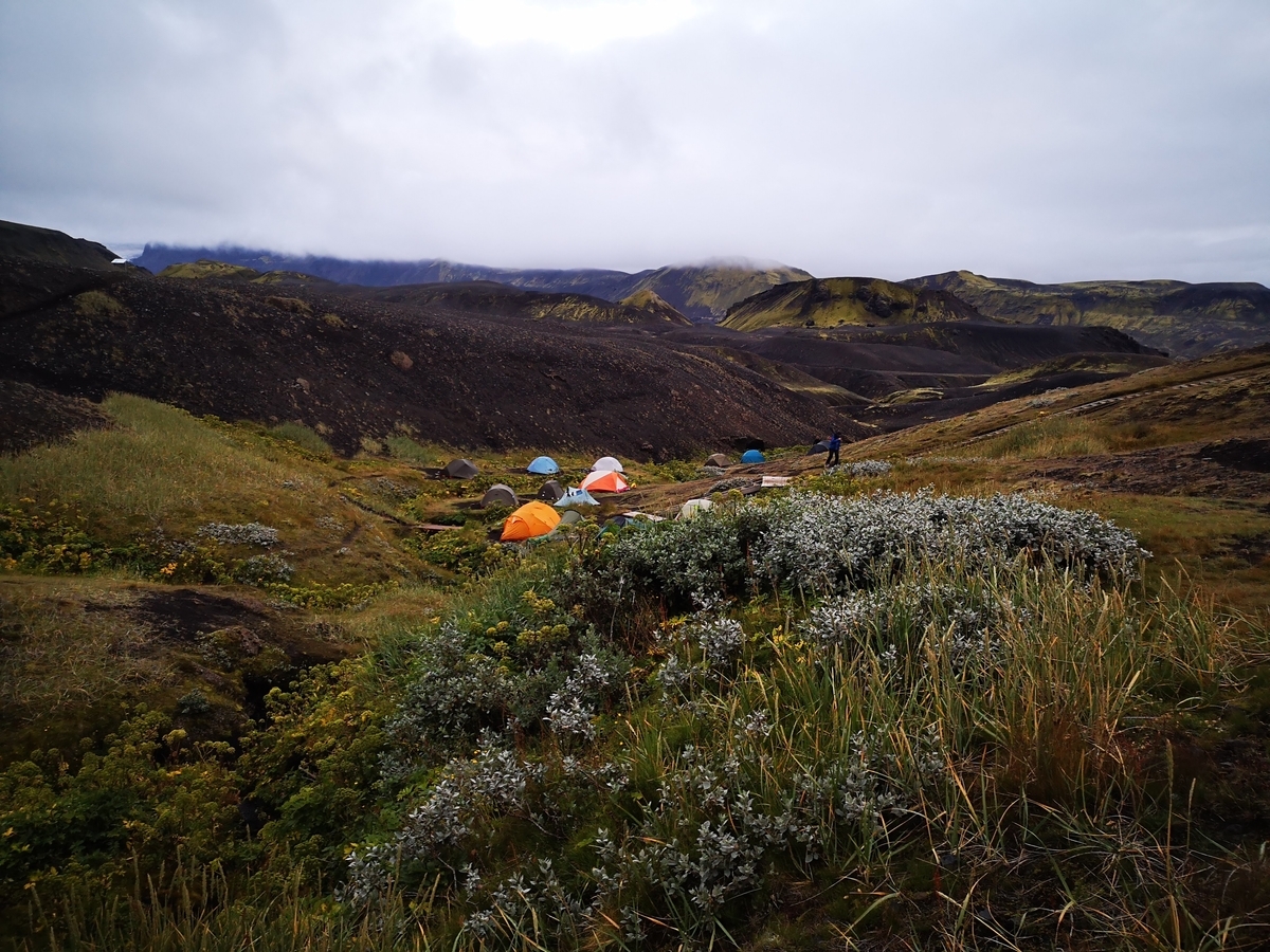 f:id:rfushimi:20190420170304j:plain