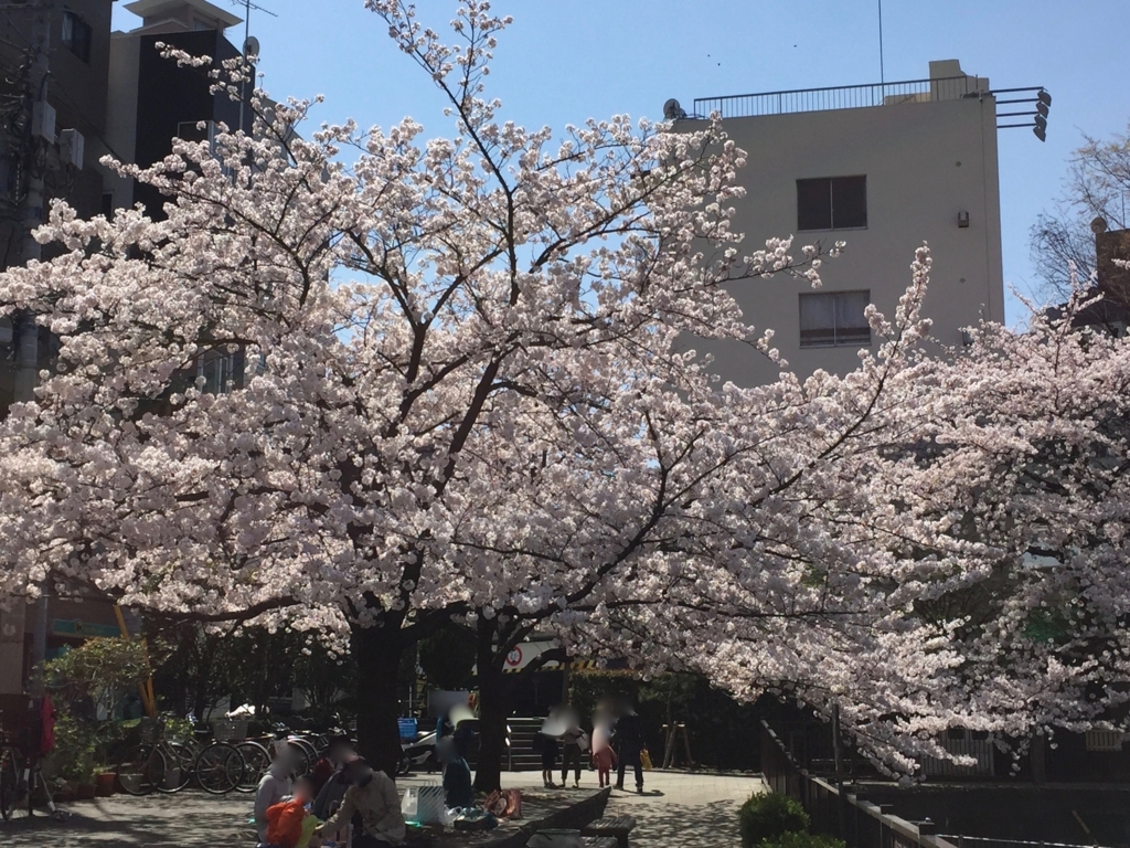 f:id:rgcocc:20180512225029j:plain