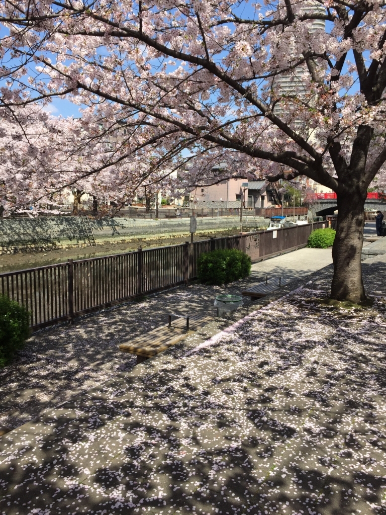 f:id:rgcocc:20180512225058j:plain