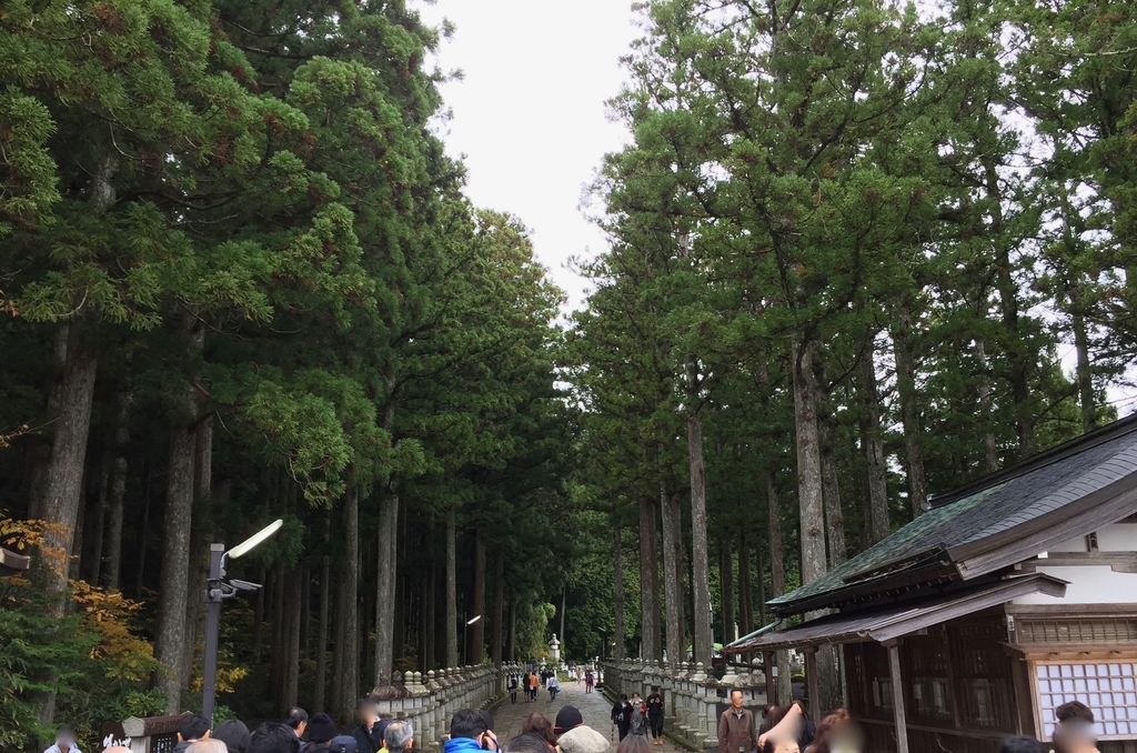 f:id:rgcocc:20180901113002j:plain