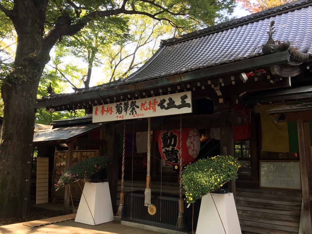 f:id:rgcocc:20180902122953j:plain f:id:rgcocc:20180902122953j:plain