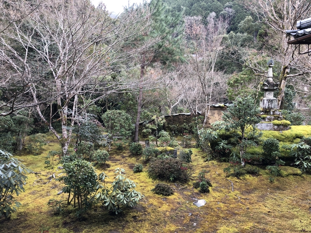 f:id:rgcocc:20190104120946j:plain