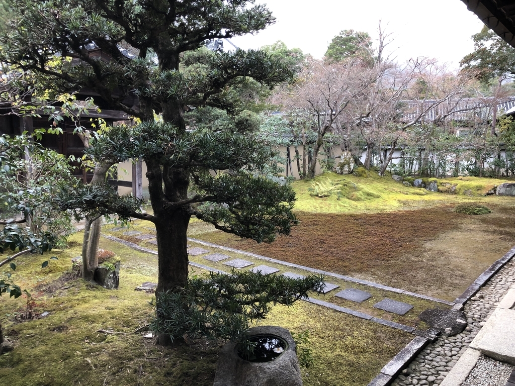 f:id:rgcocc:20190105141847j:plain