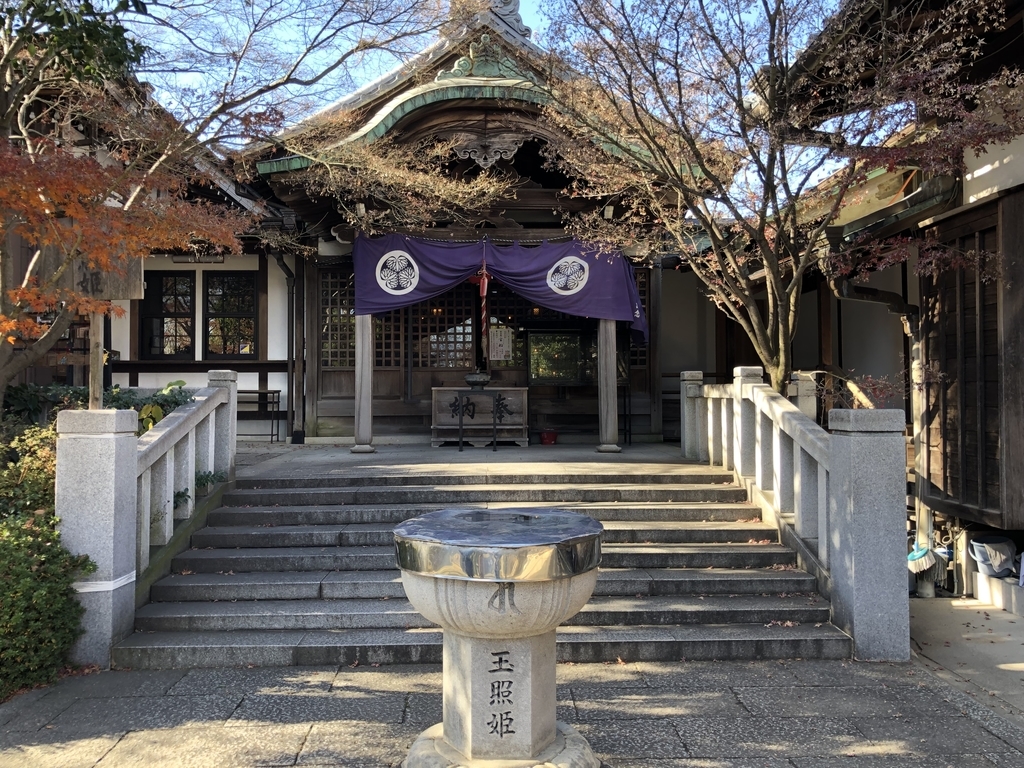 f:id:rgcocc:20190111225806j:plain