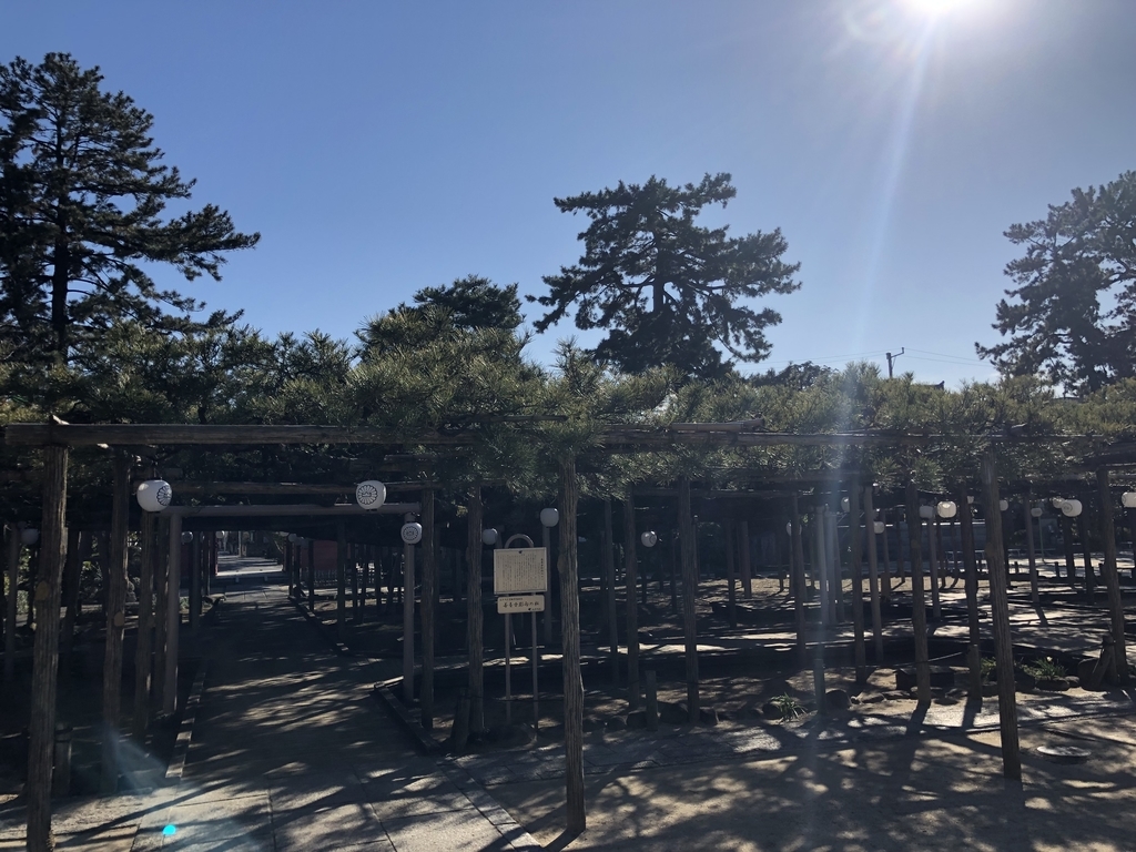 f:id:rgcocc:20190120113557j:plain