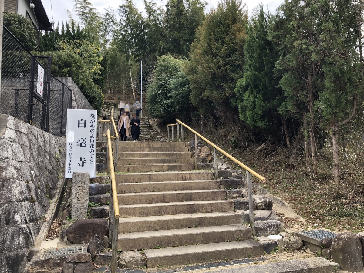 f:id:rgcocc:20190401222628j:plain