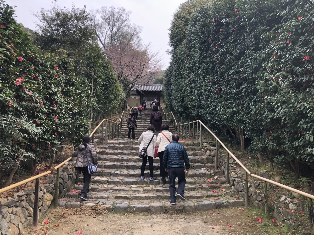 f:id:rgcocc:20190401223000j:plain