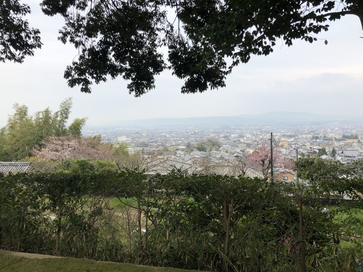 f:id:rgcocc:20190401223651j:plain
