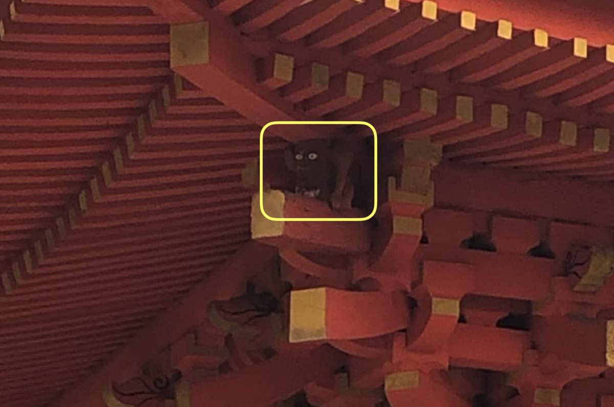 f:id:rgcocc:20190403214331p:plain