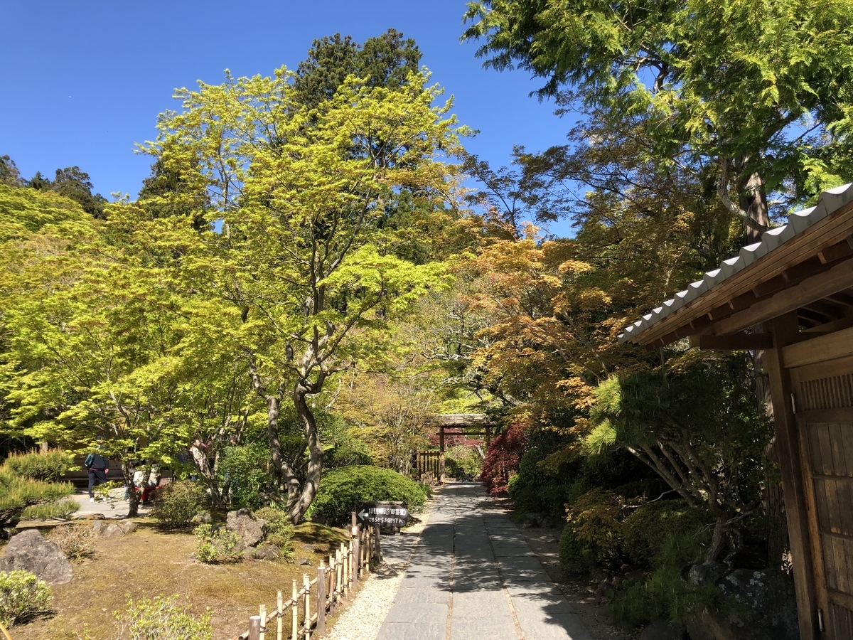 f:id:rgcocc:20190519224932j:plain