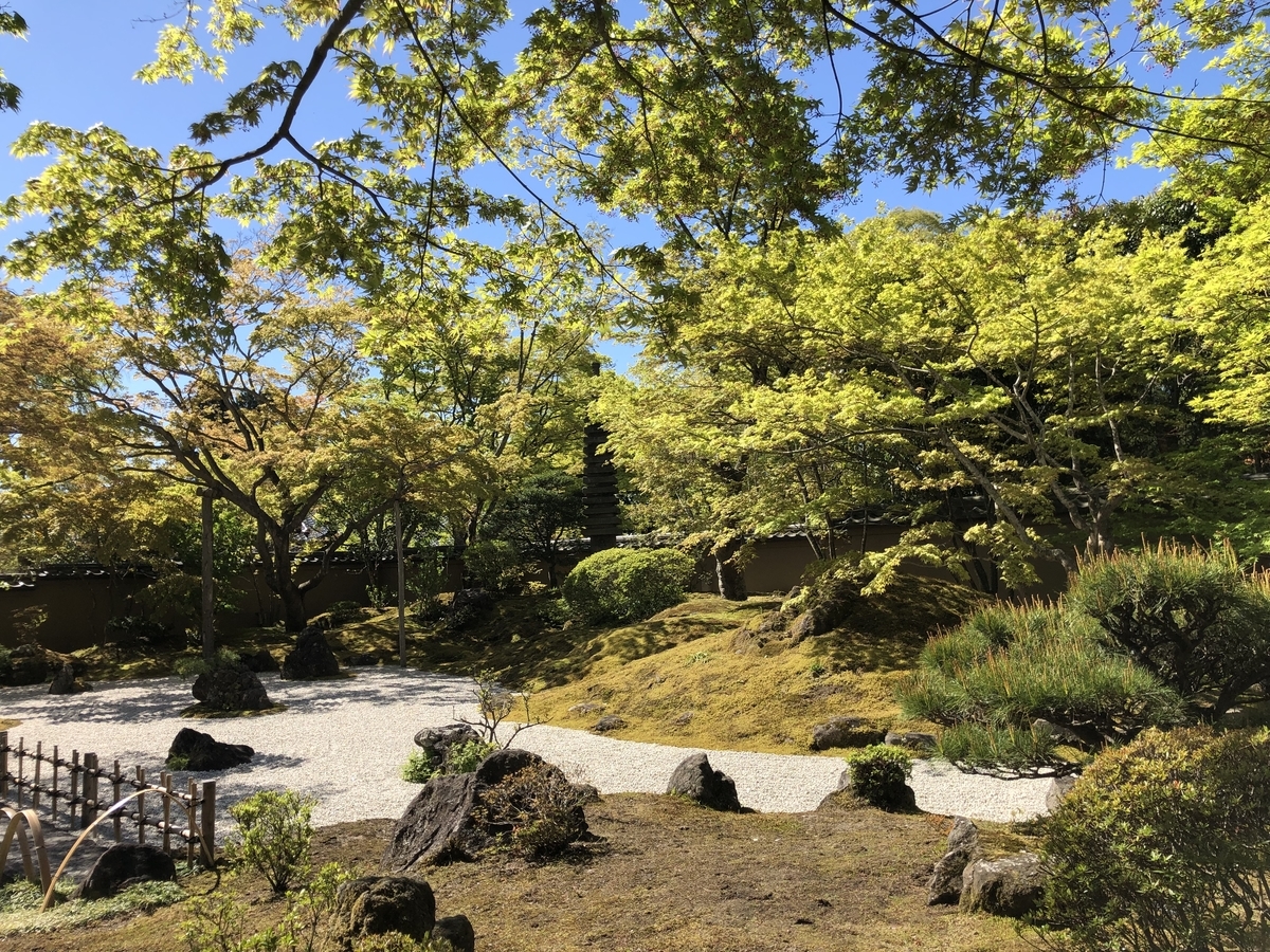 f:id:rgcocc:20190519225211j:plain