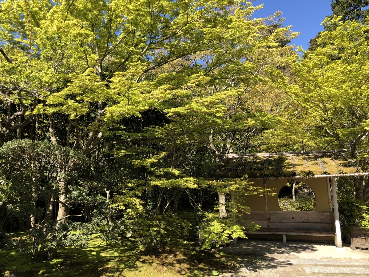 f:id:rgcocc:20190519225527j:plain