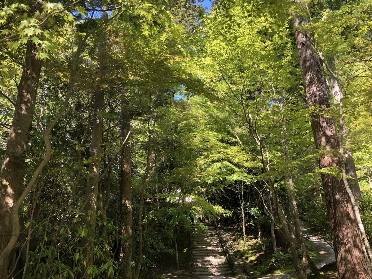 f:id:rgcocc:20190519230153j:plain
