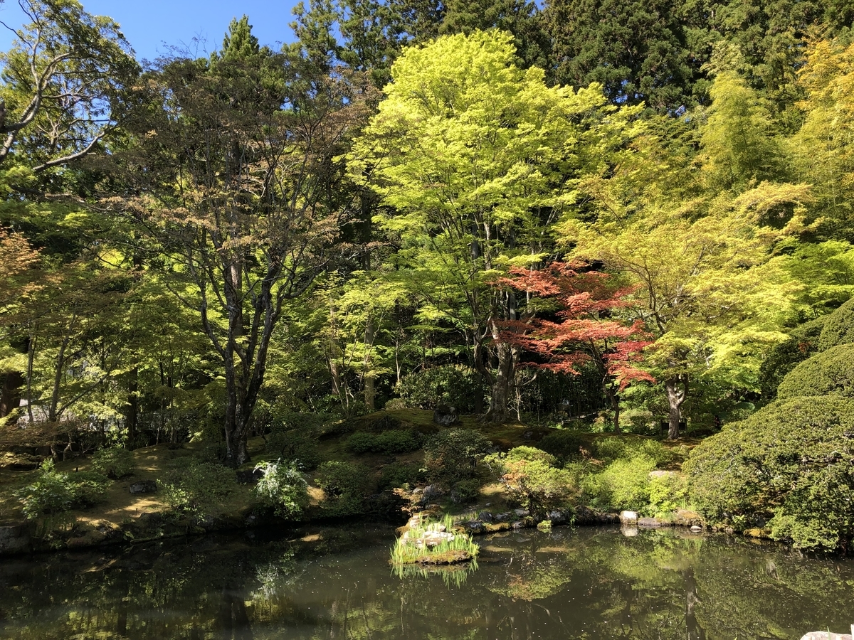 f:id:rgcocc:20190519231214j:plain