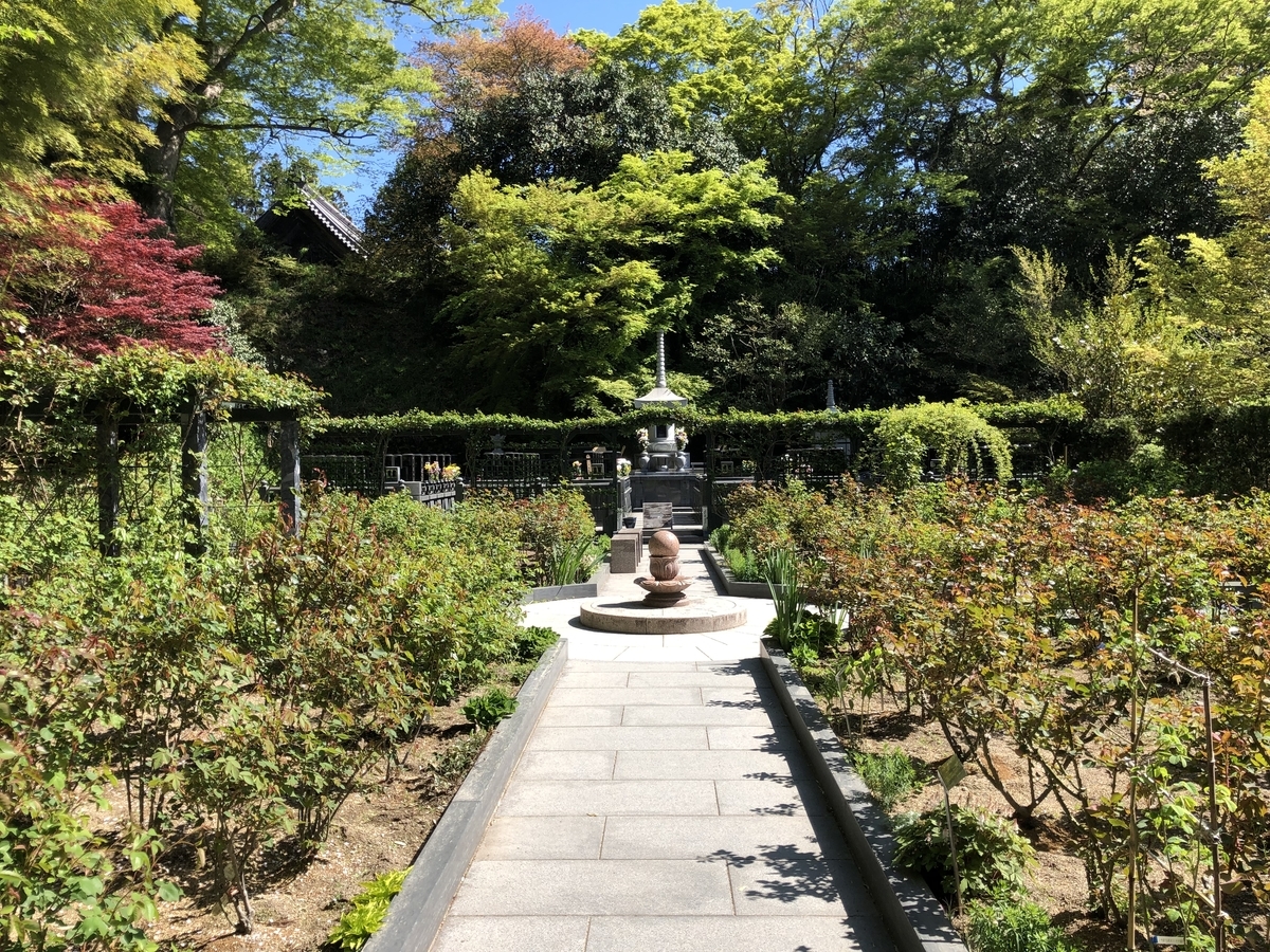 f:id:rgcocc:20190519231405j:plain