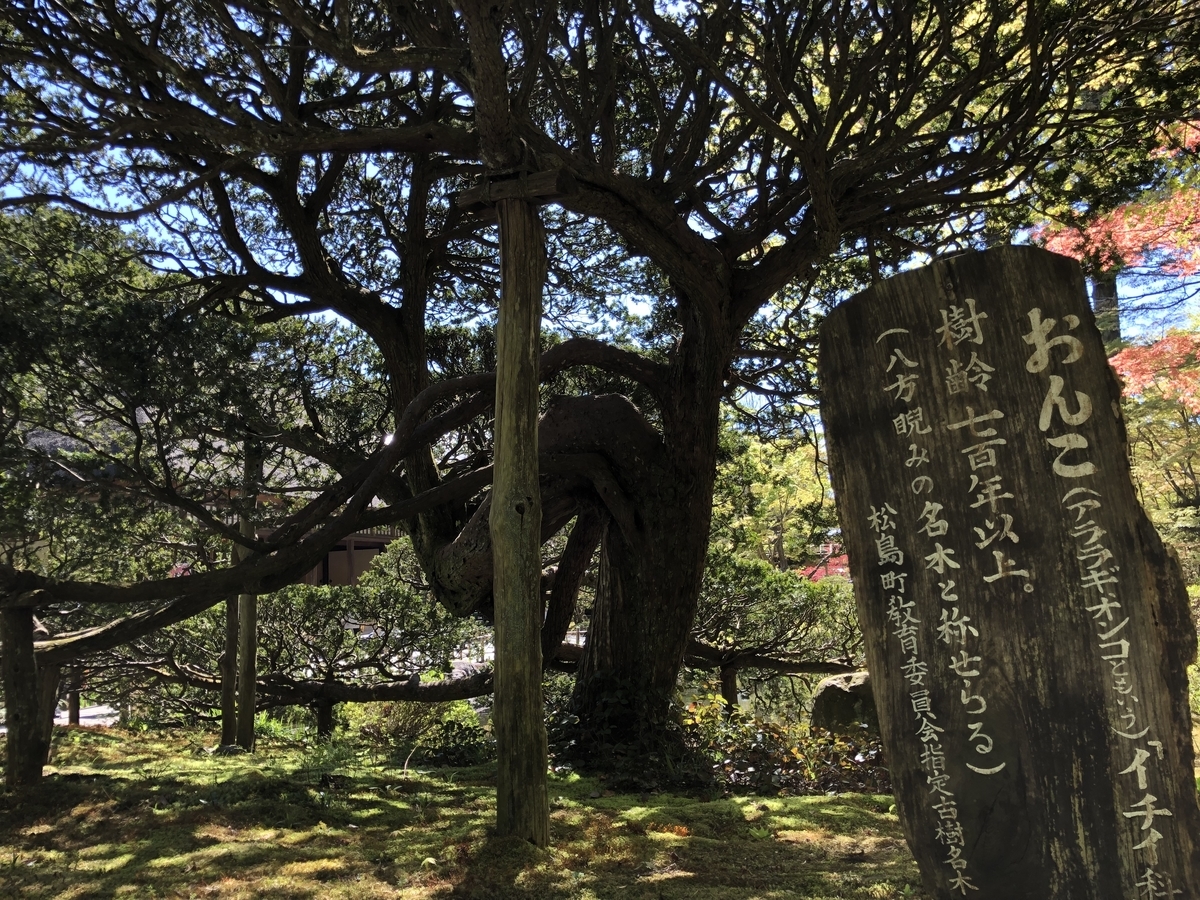 f:id:rgcocc:20190519232113j:plain