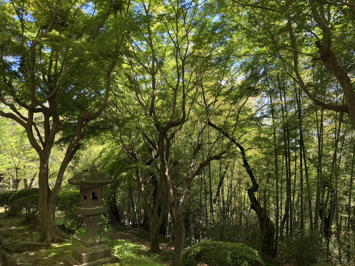 f:id:rgcocc:20190520212130j:plain