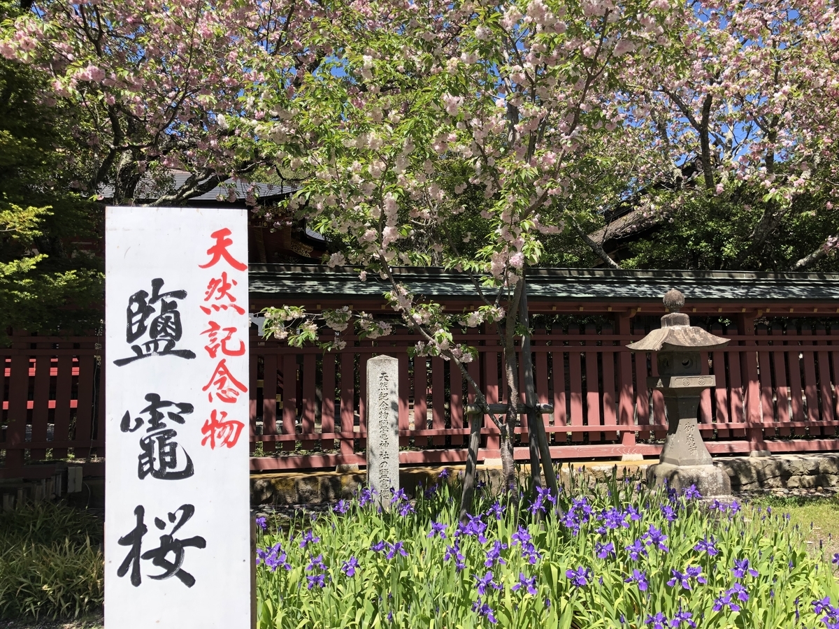 f:id:rgcocc:20190520213514j:plain