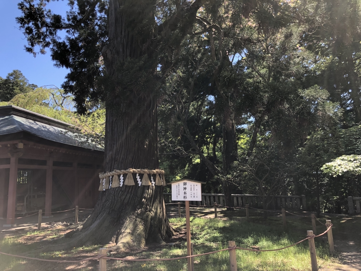 f:id:rgcocc:20190520214849j:plain