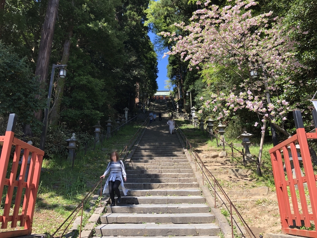 f:id:rgcocc:20190520215334j:plain