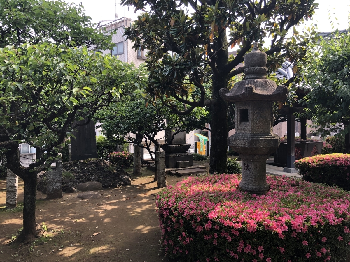 f:id:rgcocc:20190601094152j:plain