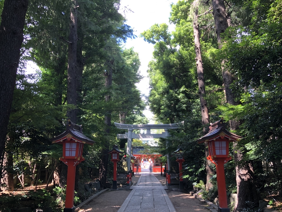 f:id:rgcocc:20190617224128j:plain f:id:rgcocc:20190617224128j:plain