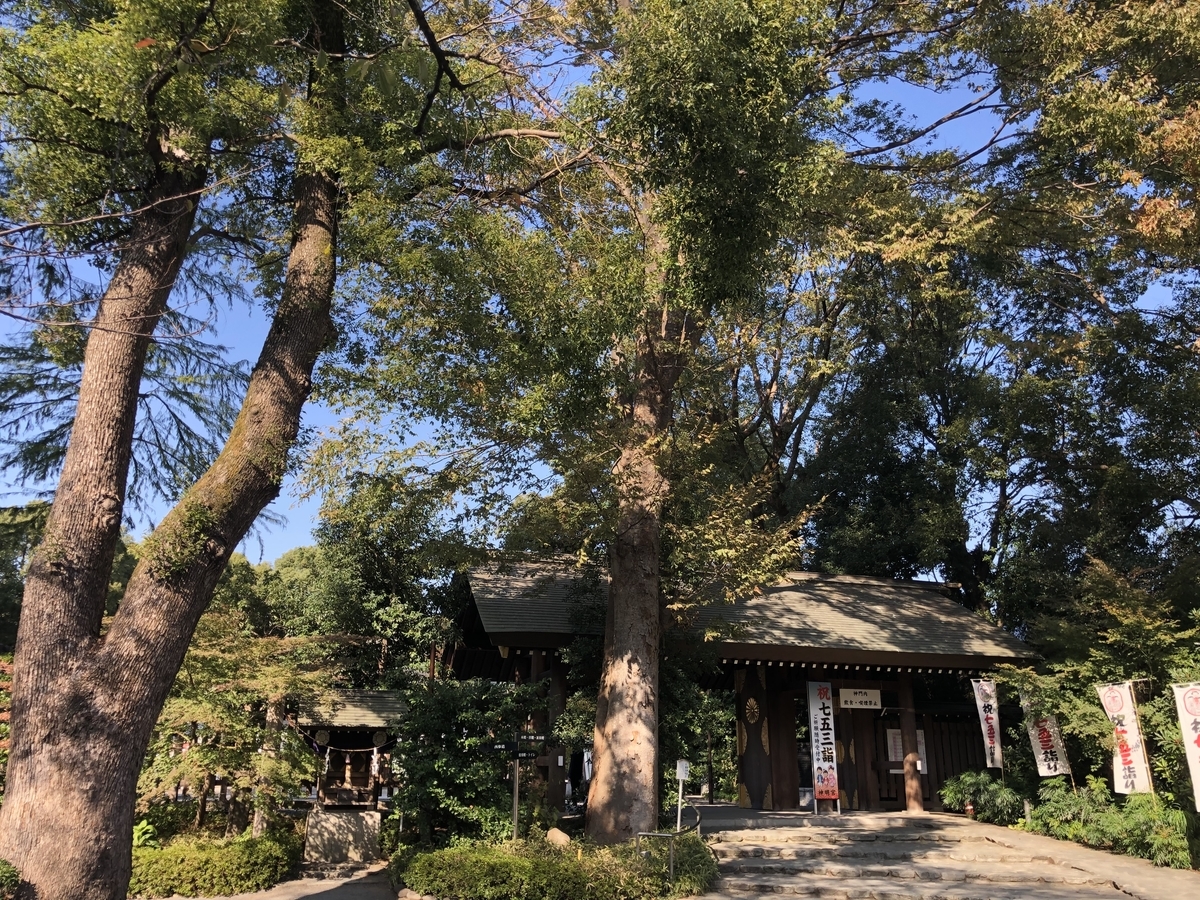 f:id:rgcocc:20191110185429j:plain