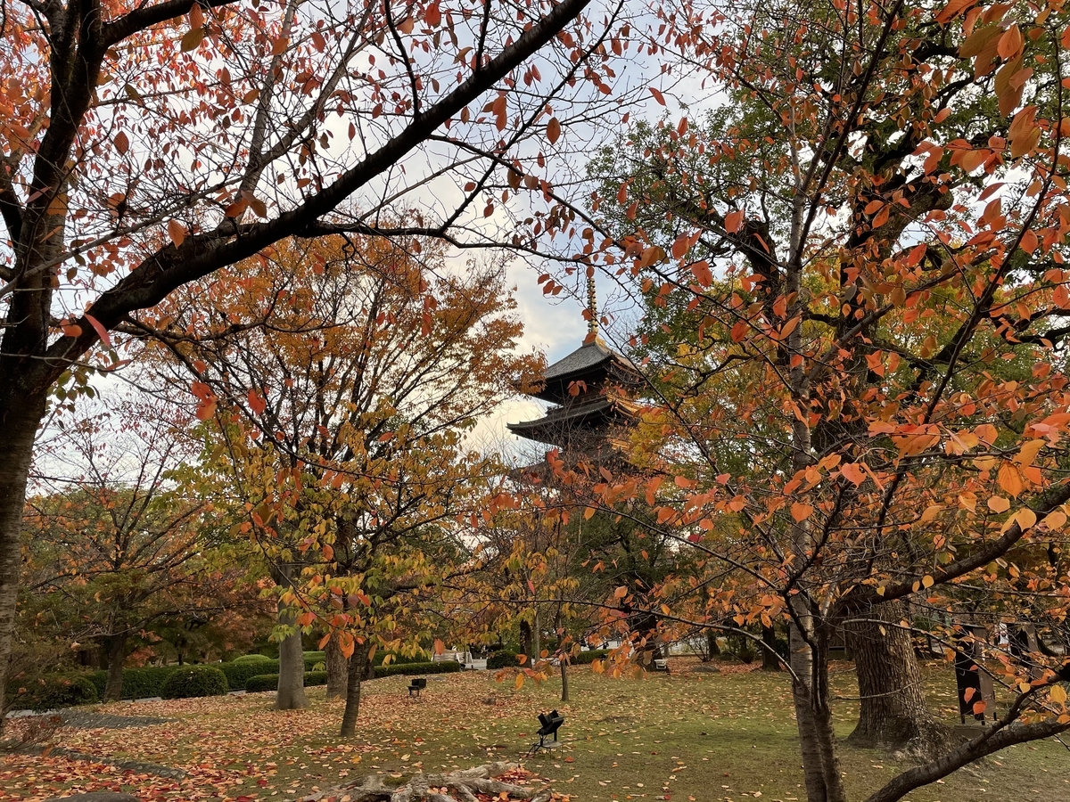 f:id:rgcocc:20201122112955j:plain