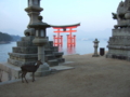 広島・厳島神社①